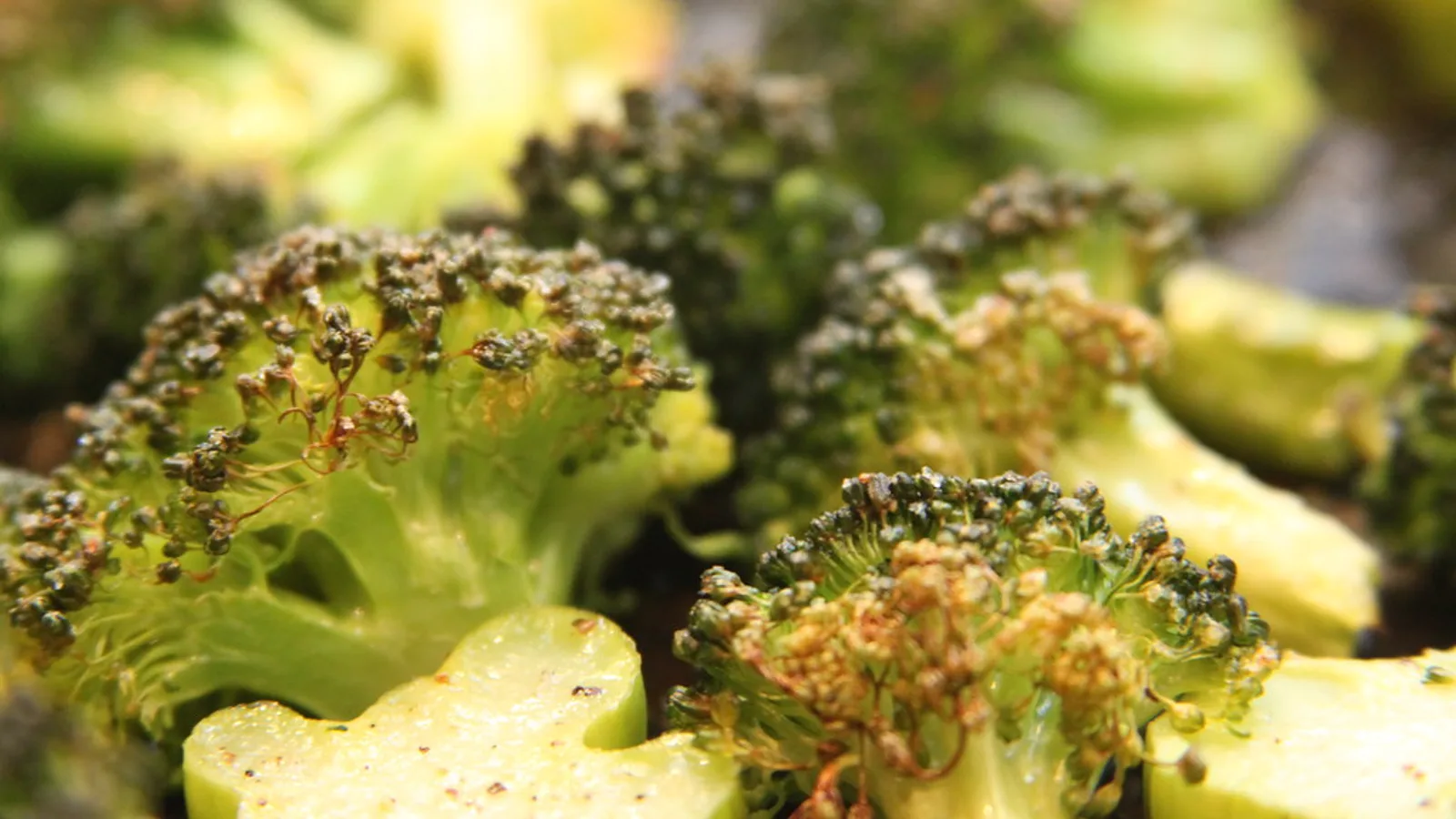 Frozen broccoli florets cooked on a sheet pan with browned edges in a single layer